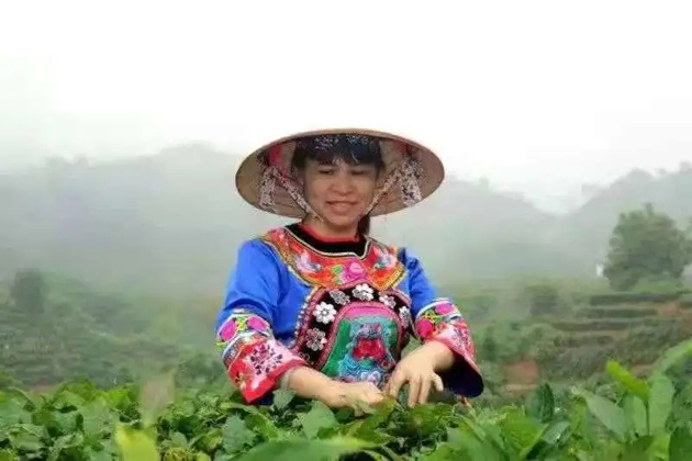 【梧州工匠】劉錦芳：鉆研和創(chuàng)新，帶領(lǐng)鄉(xiāng)親發(fā)家致富