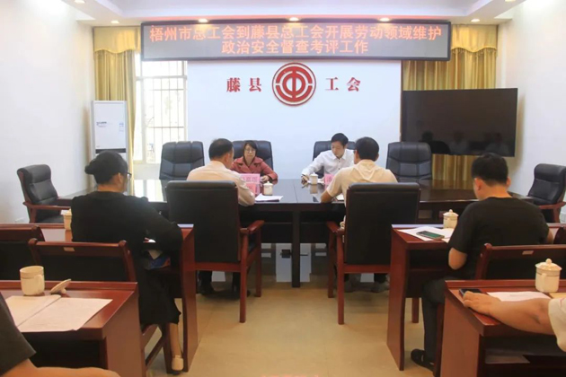 梧州市總工會領(lǐng)導(dǎo)到藤縣開展勞動領(lǐng)域維護政治安全督查考評工作