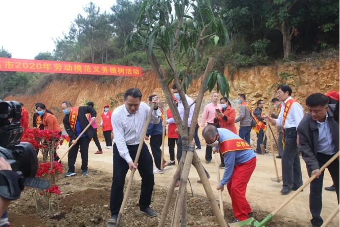 植樹造林，這群楷模這樣做
