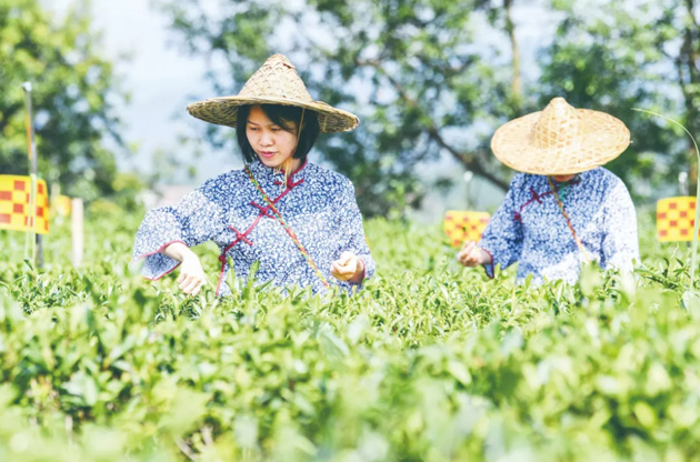 國家批復同意，梧州籌建！