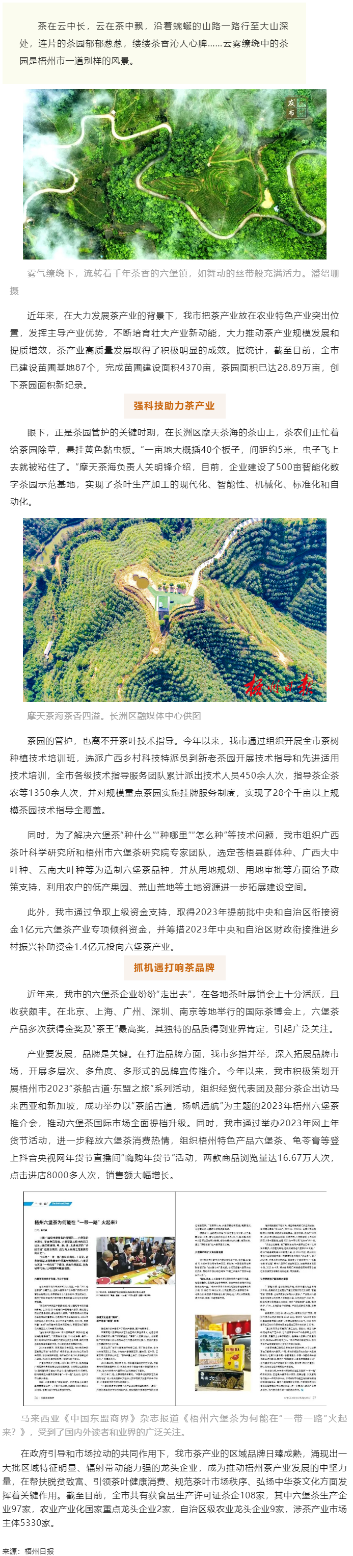 品牌強茶驅(qū)動特色產(chǎn)業(yè)提質(zhì)增效丨梧州市加快推動茶產(chǎn)業(yè)高質(zhì)量發(fā)展.png