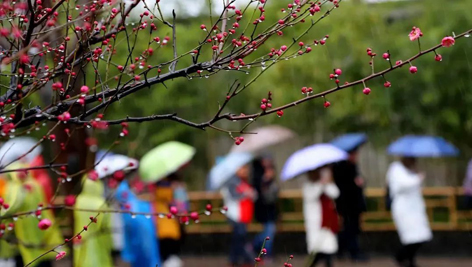 今日雨水！別忘了咱的老講究！