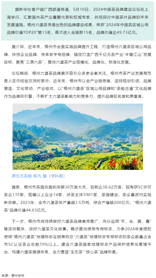 排名全國第13名！“梧州六堡茶”品牌價值實現(xiàn)新突破.png
