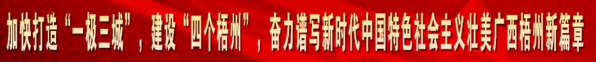 加快打造“一級(jí)三城市”，建設(shè)“四個(gè)梧州”，奮力譜寫(xiě)新時(shí)代中國(guó)特色社會(huì)主義壯美廣西梧州新篇章